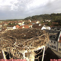 09_25-nest.jpg