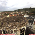 09_40-nest.jpg