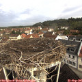09_50-nest.jpg