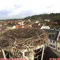 09_55-nest.jpg
