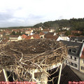 10_00-nest.jpg