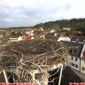 10_05-nest.jpg