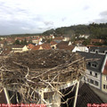 10_15-nest.jpg