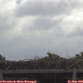10_30-mast.jpg