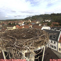 10_30-nest.jpg