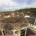 10_35-nest.jpg