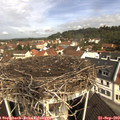 10_40-nest.jpg