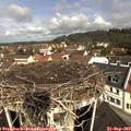 10_55-nest.jpg