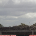 11_00-mast.jpg