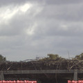 11_05-mast.jpg