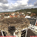 11_05-nest.jpg