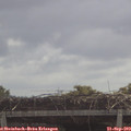 11_10-mast.jpg