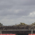 11_15-mast.jpg