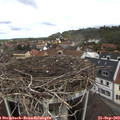 11_25-nest.jpg