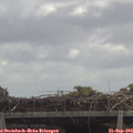 11_35-mast.jpg