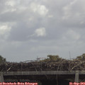 11_40-mast.jpg