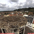 11_40-nest.jpg
