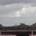 11_50-mast.jpg