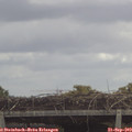 11_55-mast.jpg
