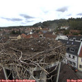 11_55-nest.jpg