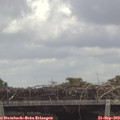 12_00-mast.jpg