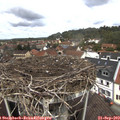 12_05-nest.jpg