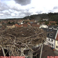 12_15-nest.jpg