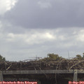 12_20-mast.jpg