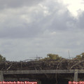 12_25-mast.jpg