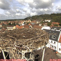 12_25-nest.jpg
