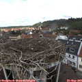12_30-nest.jpg