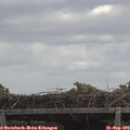 12_35-mast.jpg