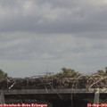12_40-mast.jpg