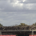 12_45-mast.jpg
