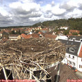 12_45-nest.jpg