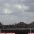 12_50-mast.jpg