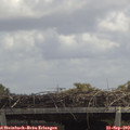 12_55-mast.jpg