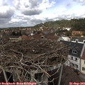 12_55-nest.jpg