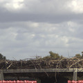 13_00-mast.jpg
