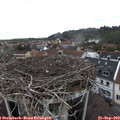 13_10-nest.jpg