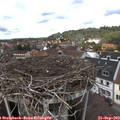 13_15-nest.jpg