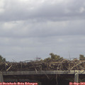 13_20-mast.jpg