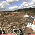 13_20-nest.jpg