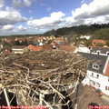 13_25-nest.jpg