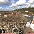 13_30-nest.jpg