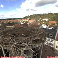 13_35-nest.jpg