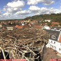 13_45-nest.jpg