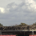 13_50-mast.jpg