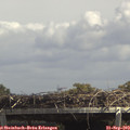 13_55-mast.jpg