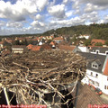 13_55-nest.jpg